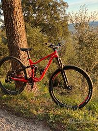 bici da enduro 