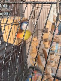 Coppia inseparabili