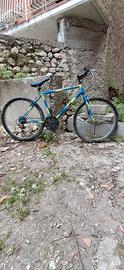 Mtb ragazzo o ragazza
