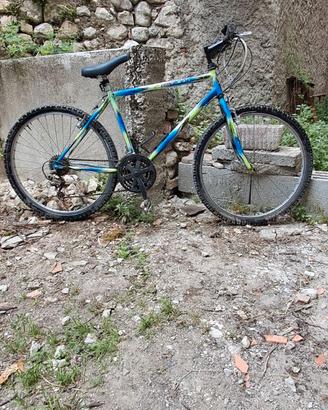 Mtb ragazzo o ragazza