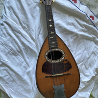 Mandolino napoletano vinaccia