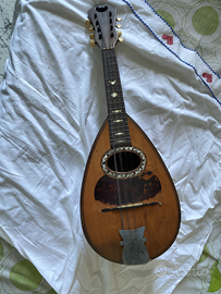 Mandolino napoletano vinaccia