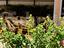 Immagine 24