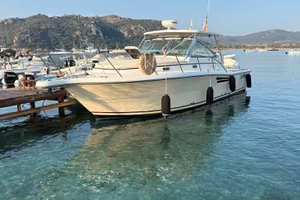 Fisherman Pursuit Tiara 34 Express