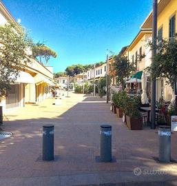 Attività / Licenza di 40 m² con 1 locale a Rosigna