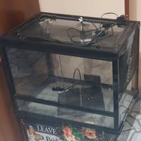 Teca/Terrario di vetro per rettili