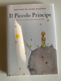 Il Piccolo Principe