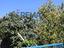 Immagine 29