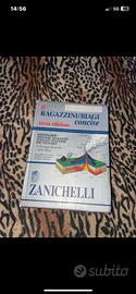 Dizionario inglese italiano zanichelli