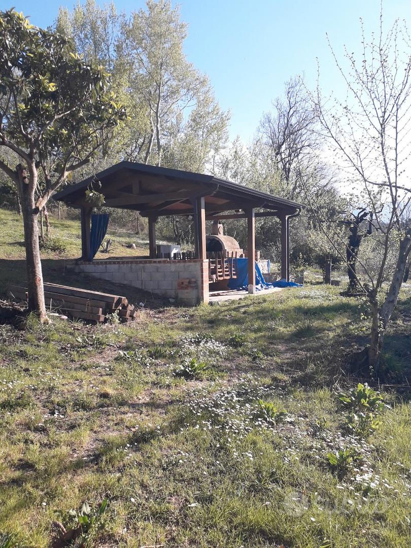 Terreno con uliveto - Vista 3