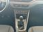 Immagine 13