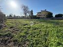 ter-agricolo-a-roma