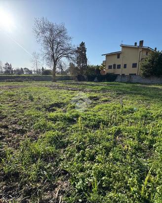 TER. AGRICOLO A ROMA