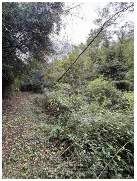 Rustico/Casale/Corte Serravalle Pistoiese - Vista 5