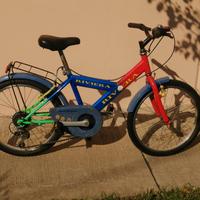 Bicicletta bambino 
