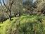 Immagine 17