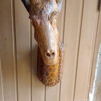 Sculture in legno