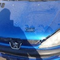 Peugeot 206 hdi ricambi