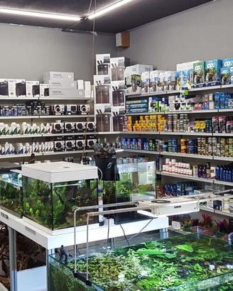 Articoli per Acquario