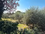 Immagine 27