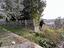 Immagine 25