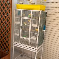 Gabbia grande ( bianca )