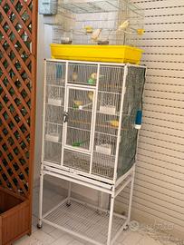 Gabbia grande ( bianca )