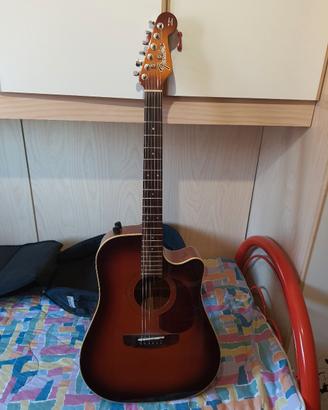 chitarra fender + custodia