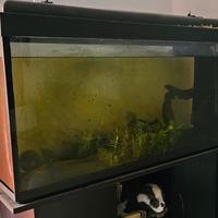 Acquario 350Lt
