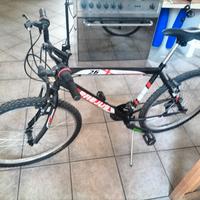 Mountain bike frejus 