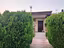 Immagine 11