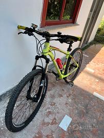 Bici mtb