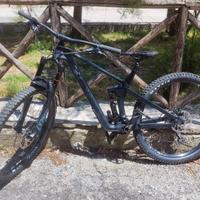 Canyon Strive 29 M