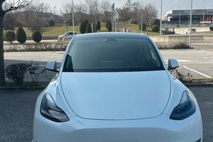 Tesla model y rwd