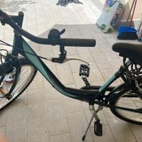 Bici donna velomarche riota 26