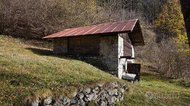 Rustico Casa da monte - Valdaone