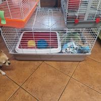 gabbia per animali 