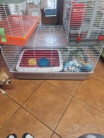 gabbia per animali 