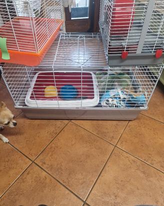 gabbia per animali 