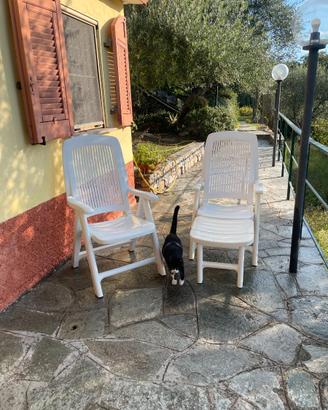 Sedia da giardino - coppia