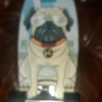 Skateboard