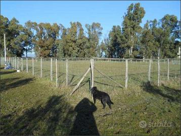 Terreno Agricolo a Latina