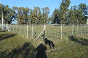 Terreno Agricolo a Latina