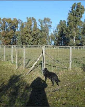 Terreno Agricolo a Latina