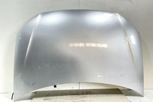 COFANO ANTERIORE VOLKSWAGEN Polo 5° Serie 6R08230