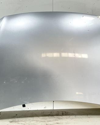COFANO ANTERIORE VOLKSWAGEN Polo 5° Serie 6R08230