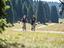 Immagine 12