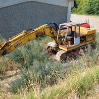 Escavatore Laltesi L50