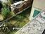 Immagine 24