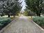 Immagine 9